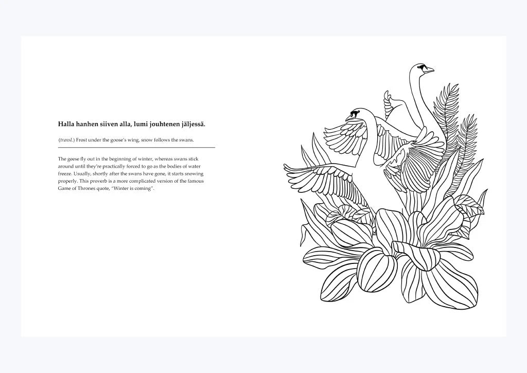 Arctic mindfulness & Finnish folk wisdom- colouring book