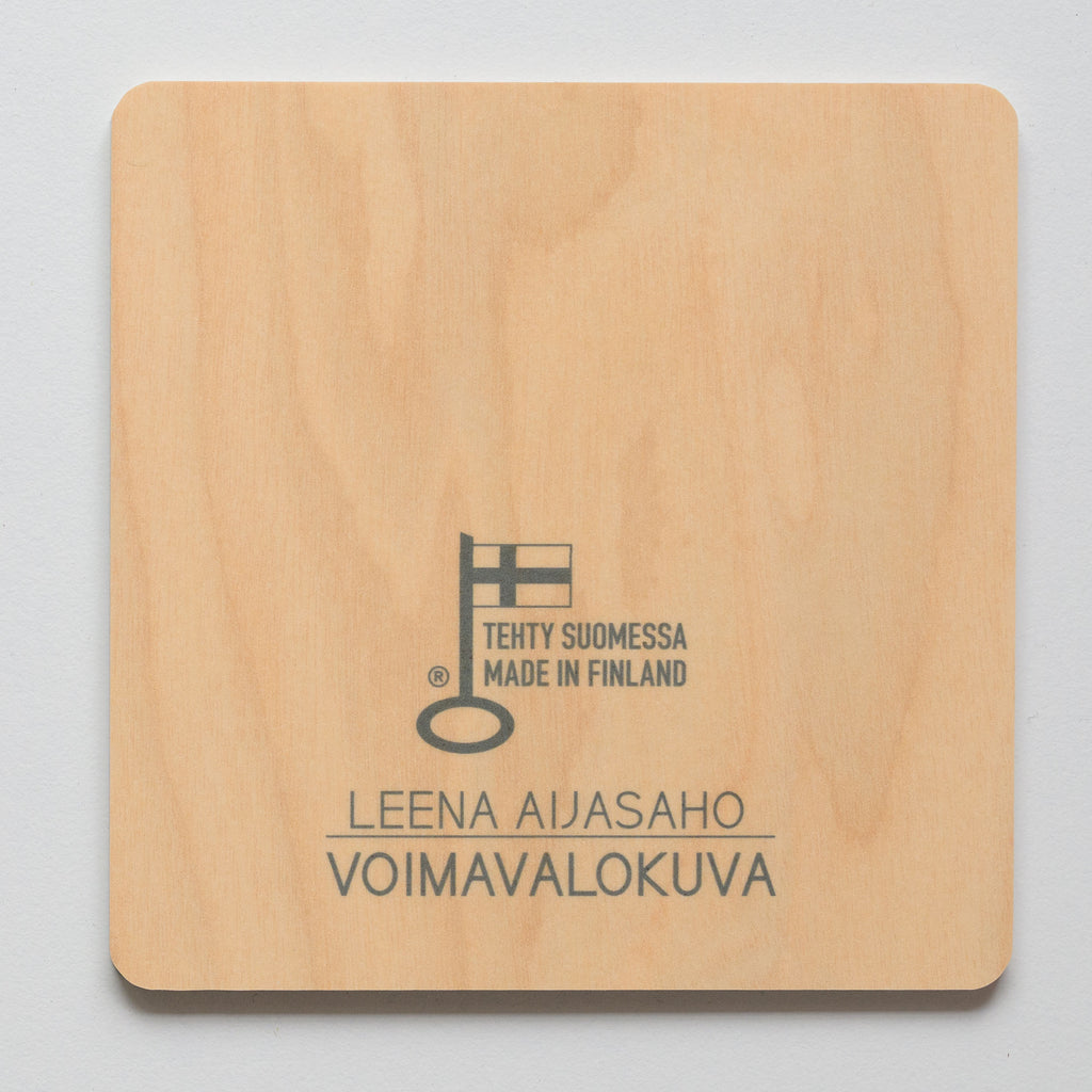 Lasinalunen - Revontulien suojassa
