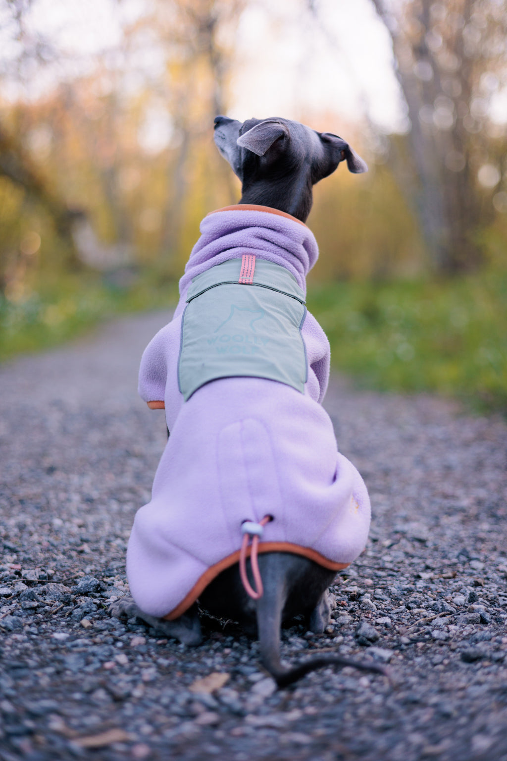Alpha 360 Fleece Pullover