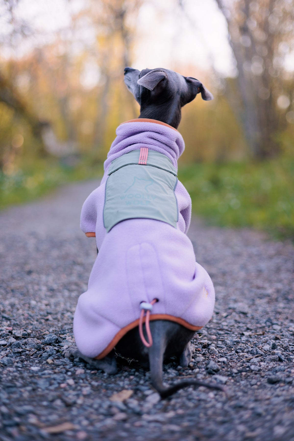 Alpha 360 Fleece Pullover