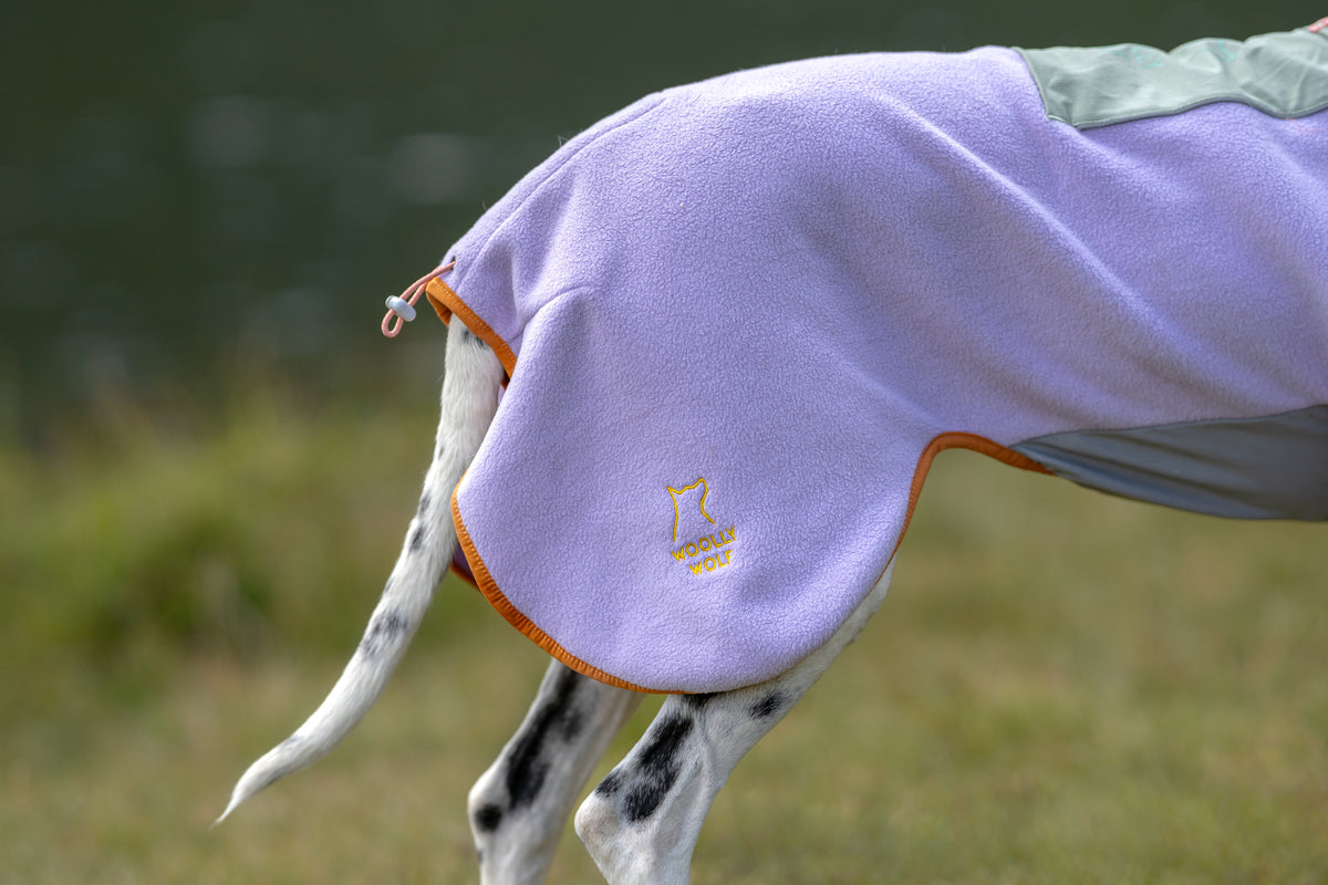 Alpha 360 Fleece Pullover