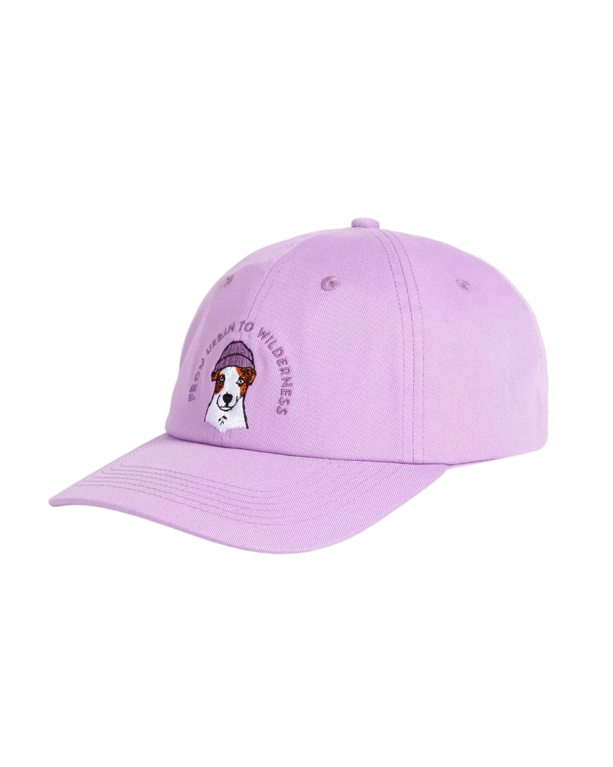 Boss Dog Lippis