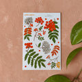 Rowan - Sticker sheet